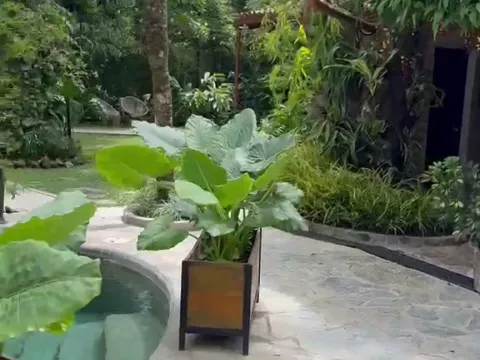 Caracoral Hotel Boutique