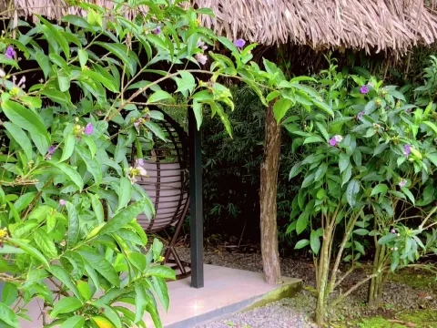 The Haven - A Spa, Health and Wellness Accommodation - Adults Only